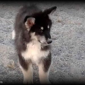 Meet your Posher, Casey